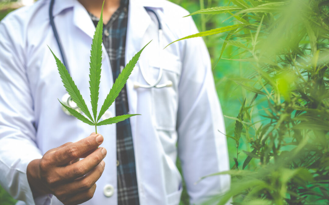 Medical Cannabis: The Wonder Drug or Just Hype? – A Balanced Look from Skot Chemist